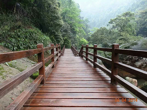 贵州遵义森林公园
